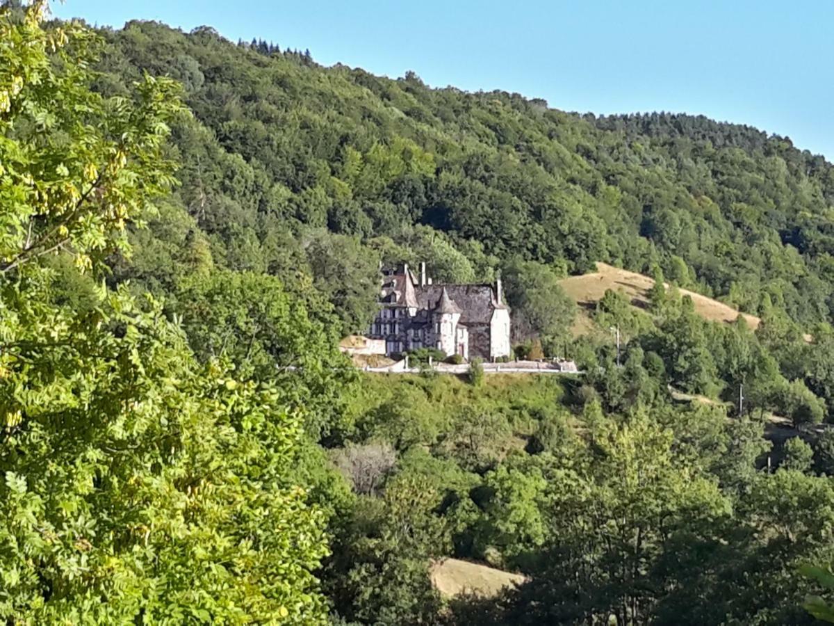 Chateau De Courbelimagne, Raulhac Eksteriør bilde